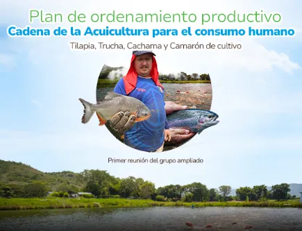 POP de la Cadena de la Acuicultura para el consumo humano