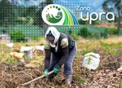 Zona UPRA - Boletín 04