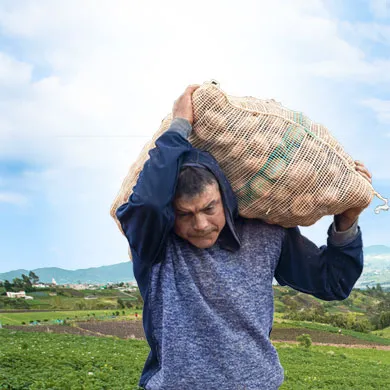 Plan Maestro de Reconversión Productiva de la papa colombiana