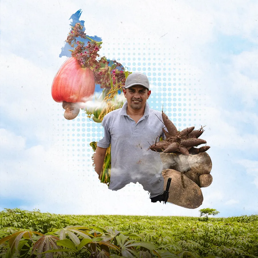 Zonificación de aptitud productiva del departamento de Sucre