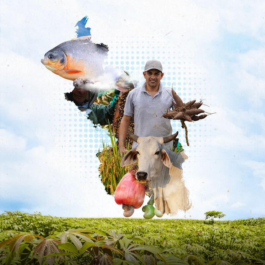 Zonificación de aptitud productiva del departamento de Sucre