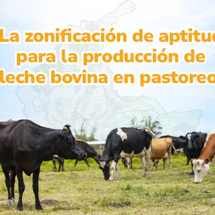 Actualización de la Zonificación de Aptitud para la producción de leche bovina en pastoreo.