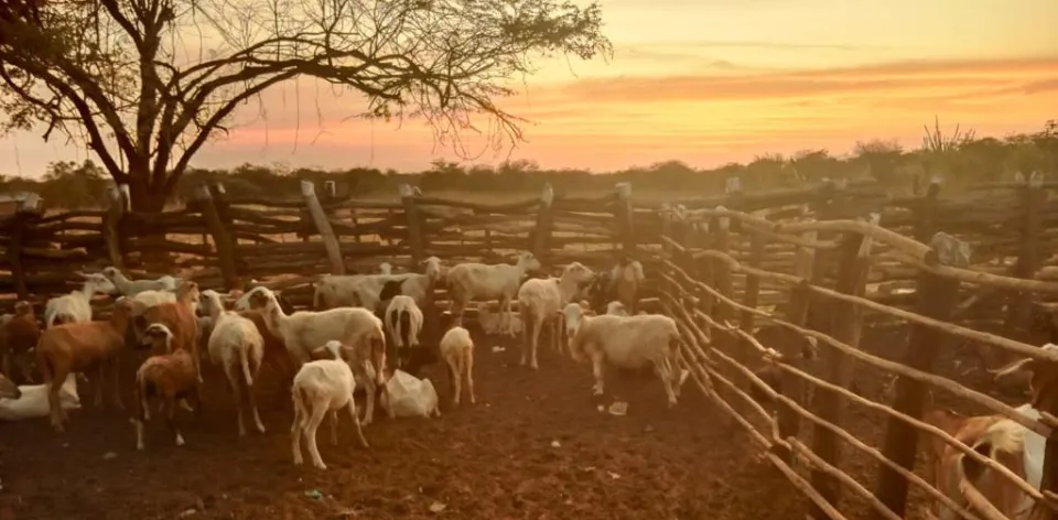 “Proteger los suelos para la producción de alimentos es vital”: Claudia Cortés “Proteger los suelos para la producción de alimentos es vital”: Claudia Cortés