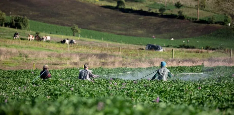 Así se integra la frontera agrícola con el desarrollo sostenible del territorio colombiano
