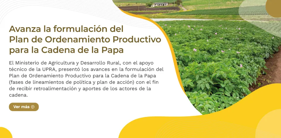 Avanza la formulación del Plan de Ordenamiento Productivo, POP, para la cadena de papa.