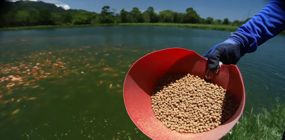 Con el Sipra, la Gobernación de Cundinamarca incentiva a más de 400 productores