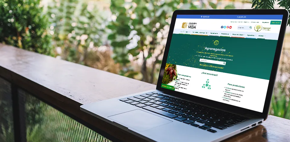 Conoce Agronegocios: la herramienta que conecta a los productores y compradores del sector agropecuario en Colombia Conoce Agronegocios: la herramienta que conecta a los productores y compradores del sector agropecuario en Colombia