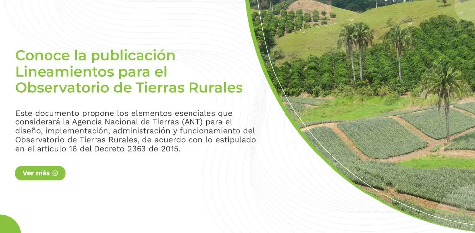 Conoce los Lineamientos para el Observatorio de Tierras Rurales