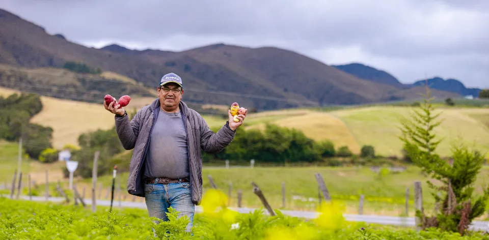 Cosechando logros para convertir a Colombia en potencia agroalimentaria Cosechando logros para convertir a Colombia en potencia agroalimentaria