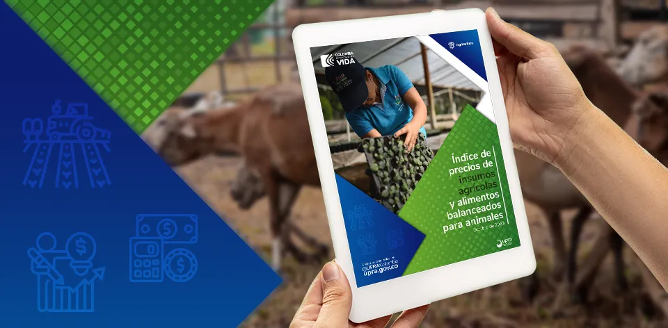 Durante 2023, los insumos agrícolas bajaron 28,34% de precio y el alimento balanceado 7,16% Durante 2023, los insumos agrícolas bajaron 28,34% de precio y el alimento balanceado 7,16%