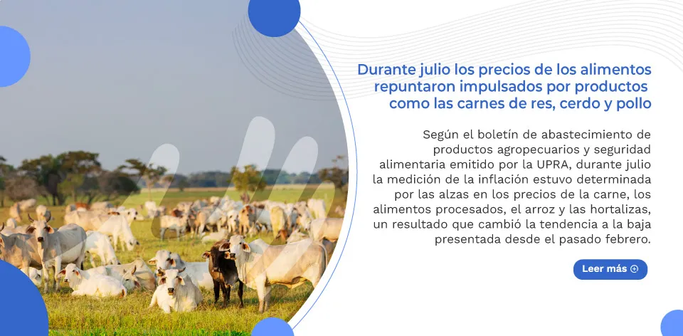Durante julio los precios de los alimentos repuntaron