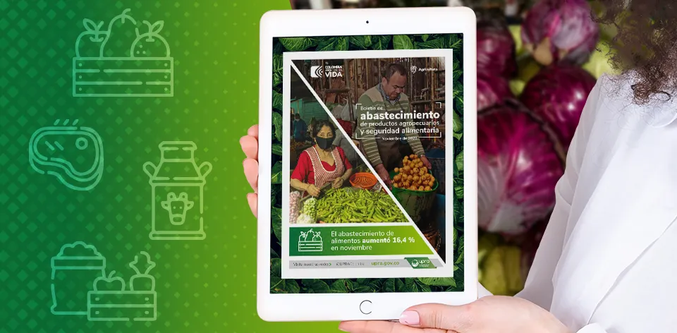 En 18 ciudades de Colombia aumentó el abastecimiento de alimentos durante el mes de noviembre En 18 ciudades de Colombia aumentó el abastecimiento de alimentos durante el mes de noviembre