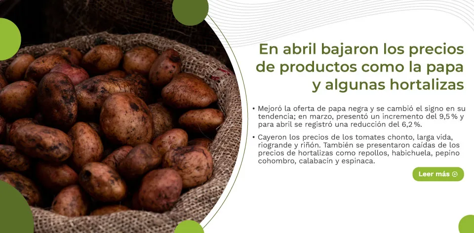 En abril bajaron los precios de productos como la papa y algunas hortalizas