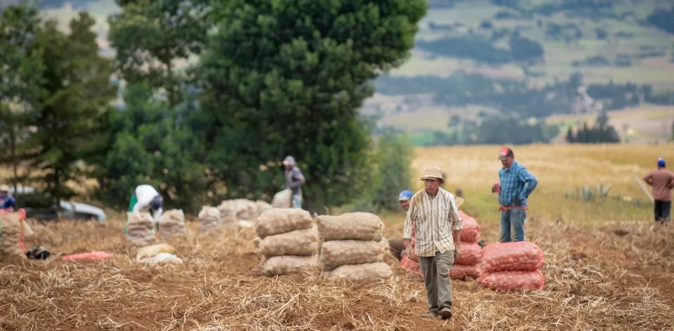 En febrero se incrementó el abastecimiento de alimentos y desaceleró el aumento de precios mayoristas