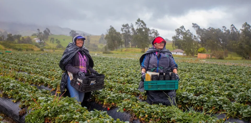 En las zonas rurales se generaron 119.000 nuevos empleos en febrero de 2023