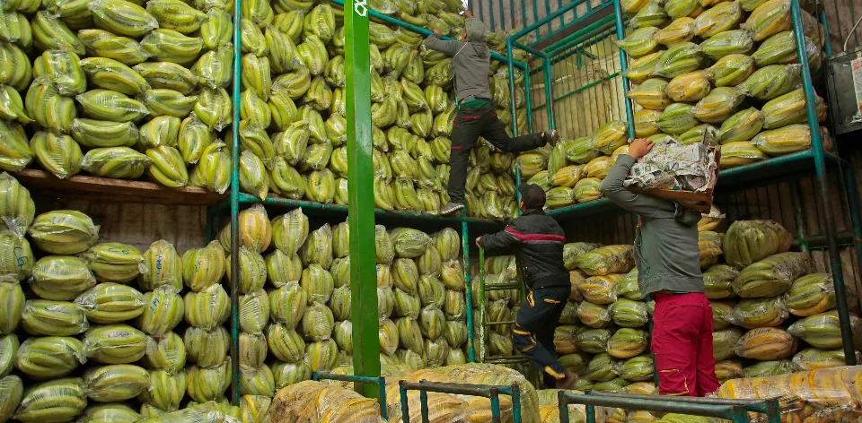 En mayo ingresaron 562.000 toneladas de alimentos a las centrales de abastos del país En mayo ingresaron 562.000 toneladas de alimentos a las centrales de abastos del país