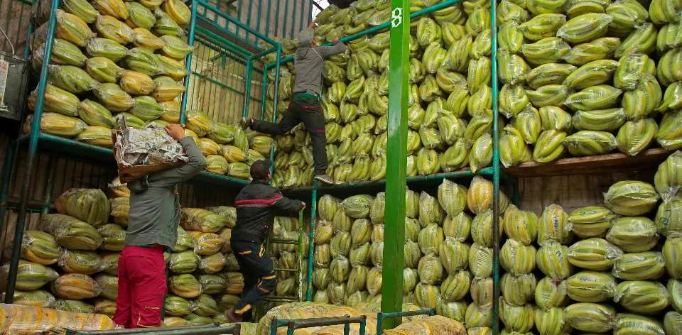En mayo se espera el incremento de las cosechas de 26 productos del agro colombiano En mayo se espera el incremento de las cosechas de 26 productos del agro colombiano