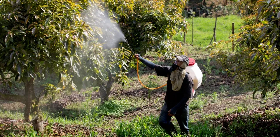 En septiembre continúan a la baja los precios de los fertilizantes