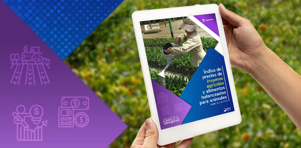 Entre enero y septiembre de 2023 se refleja una disminución en los costos de fertilizantes y plaguicidas