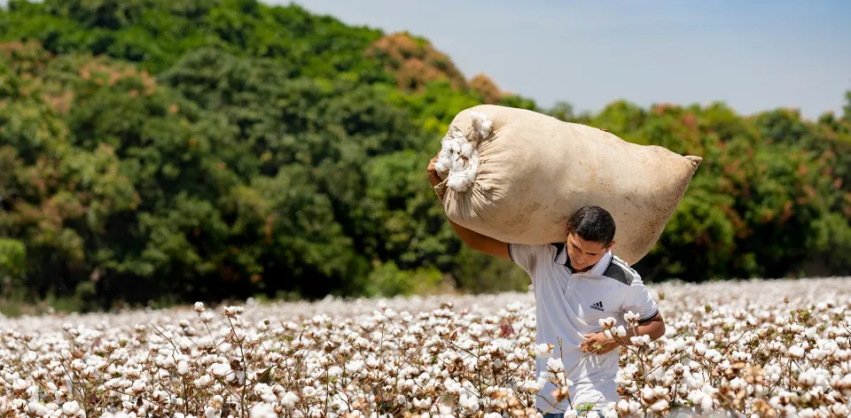Finagro colocó $28,6 billones en 499.000 operaciones en el sector agropecuario durante el 2022 Finagro colocó $28,6 billones en 499.000 operaciones en el sector agropecuario durante el 2022