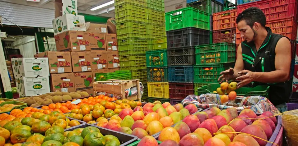 Frutas frescas, cebollas y papas negras bajaron de precio en mayo y se espera que ayuden a disminuir la inflación