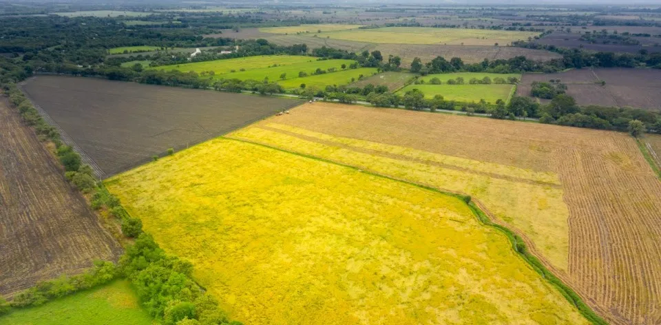 Hablemos de Tierras: expertos conversan sobre el mercado de tierras rurales en Colombia