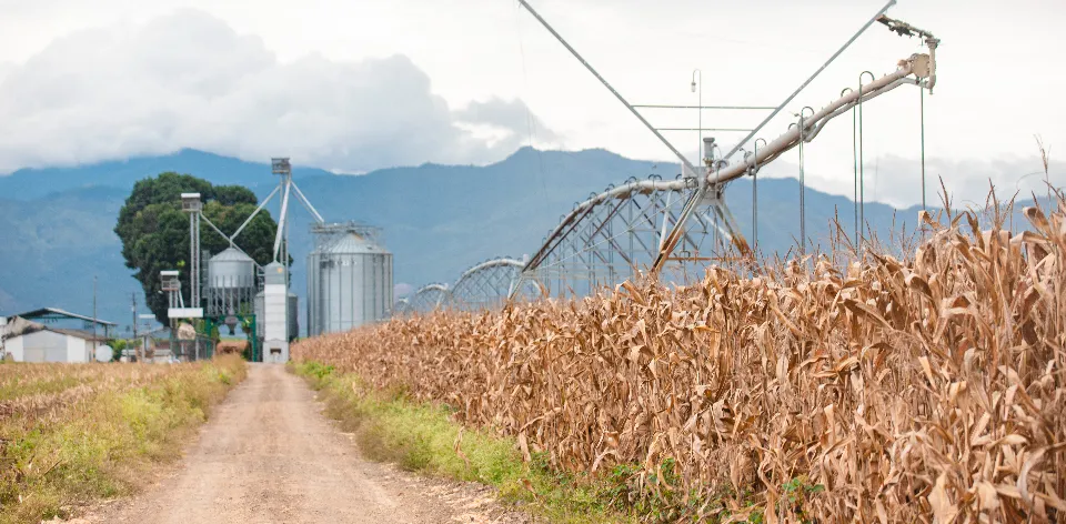 La UPRA presentó el Sistema de Información para la Gestión de Riesgos Agropecuarios La UPRA presentó el Sistema de Información para la Gestión de Riesgos Agropecuarios