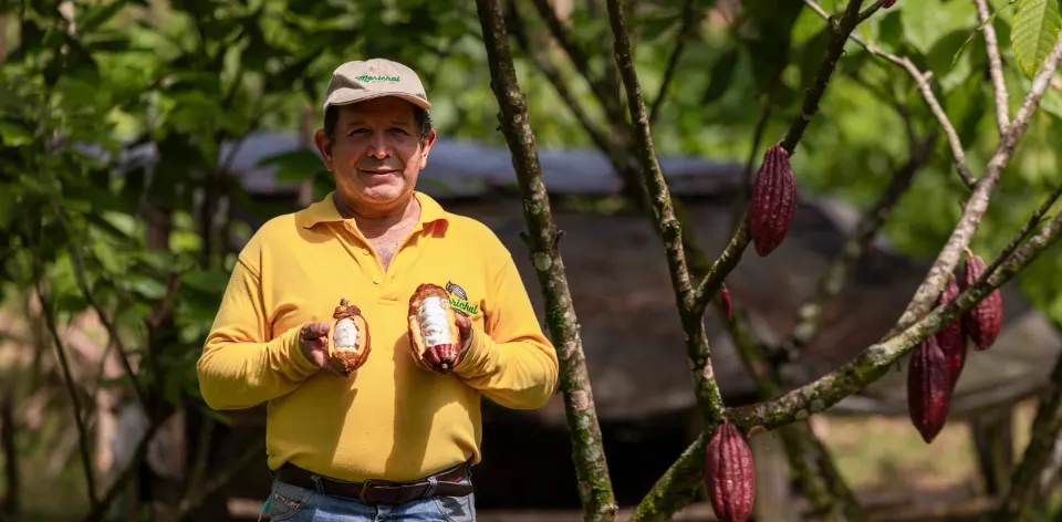 La UPRA presentará, en Chocoshow, tres instrumentos de planificación para impulsar el cacao de Colombia La UPRA presentará, en Chocoshow, tres instrumentos de planificación para impulsar el cacao de Colombia