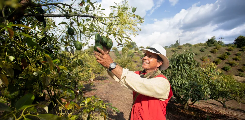 La UPRA socializó la Red Colaborativa de Infraestructura Agropecuaria
