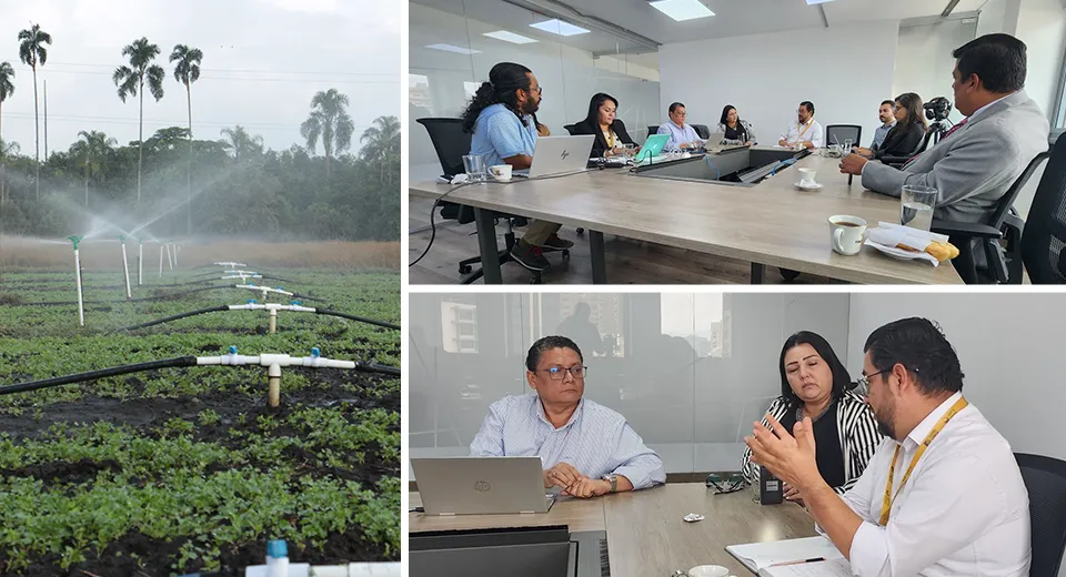 La adecuación de tierras, clave para el progreso del agro en Casanare