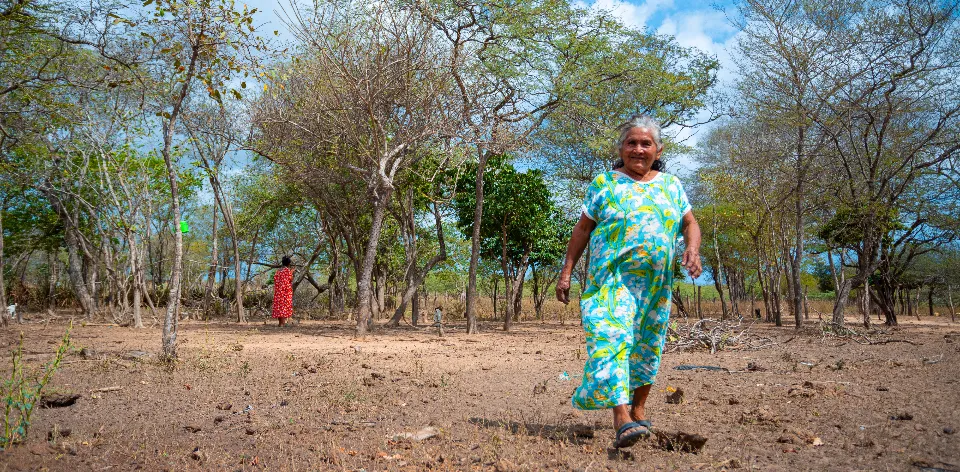 La agricultura familiar en Colombia se establece en más de 14 millones de hectáreas La agricultura familiar en Colombia se establece en más de 14 millones de hectáreas