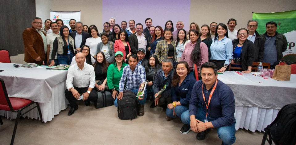 La papa: el cultivo líder del departamento de Nariño