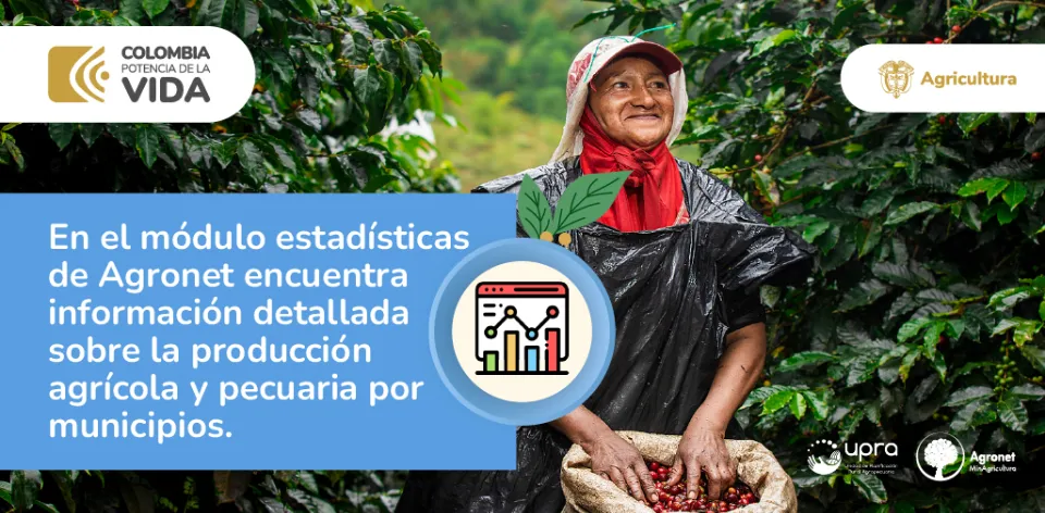 La plataforma Agronet facilita decisiones informadas en el agro a través de su módulo de estadísticas La plataforma Agronet facilita decisiones informadas en el agro a través de su módulo de estadísticas