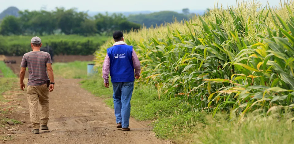 La reconversión productiva: un camino hacia la seguridad alimentaria La reconversión productiva: un camino hacia la seguridad alimentaria