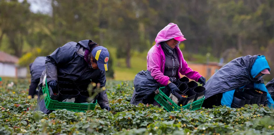 Las zonas rurales cuentan con 4,8 millones de personas ocupadas en marzo de 2023