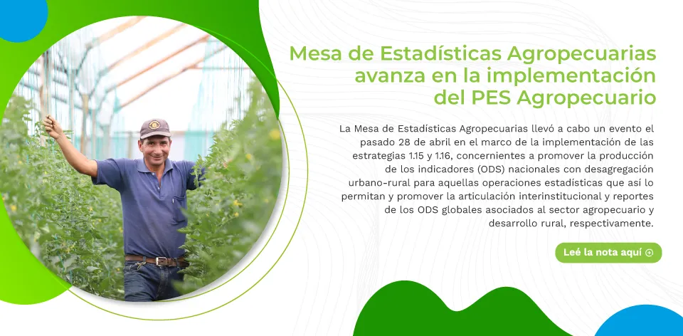 Mesa de Estadísticas Agropecuarias avanza en la implementación del PES Agropecuario