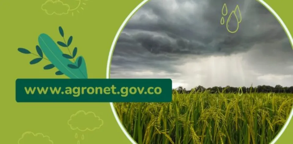 Mesas Técnicas Agroclimáticas: escudo contra el cambio climático para el sector agropecuario