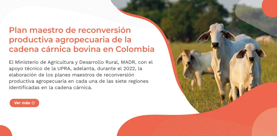 Plan Maestro de Reconversión Productiva Agropecuaria de la Cadena Cárnica Bovina en Colombia
