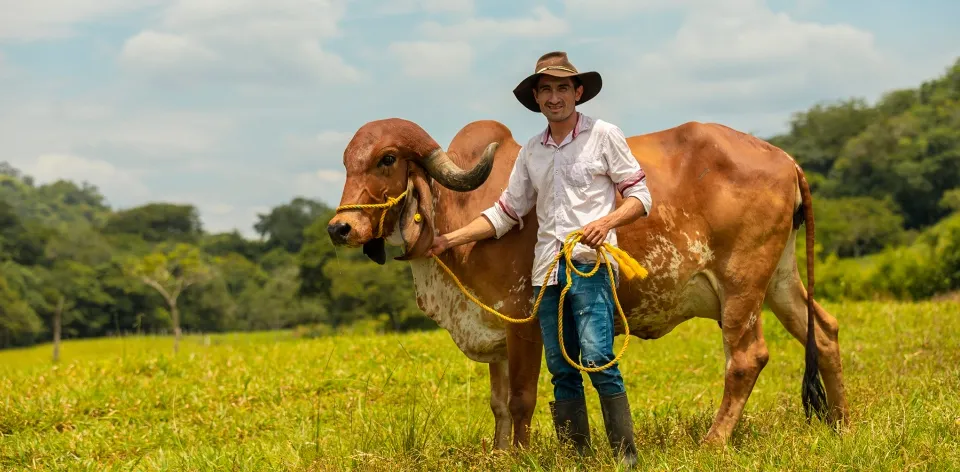 Plan Maestro de Reconversión Productiva Agropecuaria: propuesta para la sostenibilidad