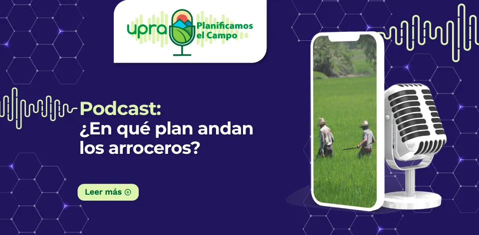 Podcast #PlanificamosElCampo: ¿En qué plan andan los arroceros?