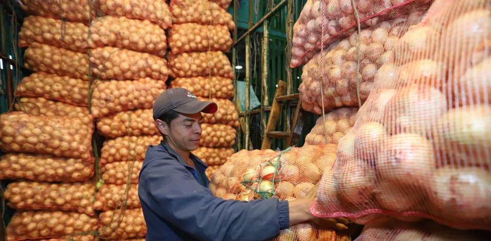 Precios de frutas y verduras repuntaron debido a la temporada de lluvias