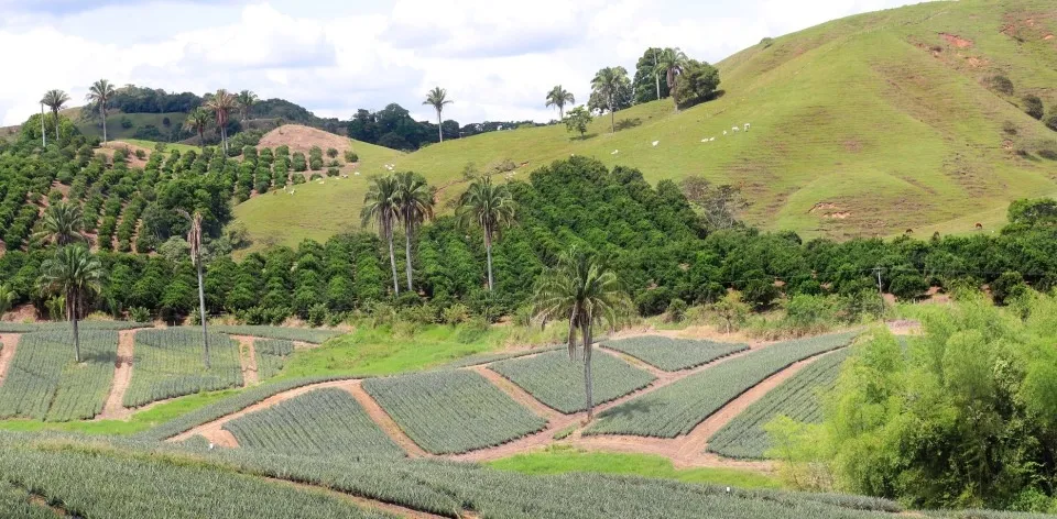 Reforma agraria pondrá lupa a la concentración y extranjerización de tierras productivas en Colombia