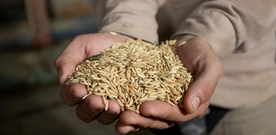 Siguen al alza precios de alimentos en centrales mayoristas