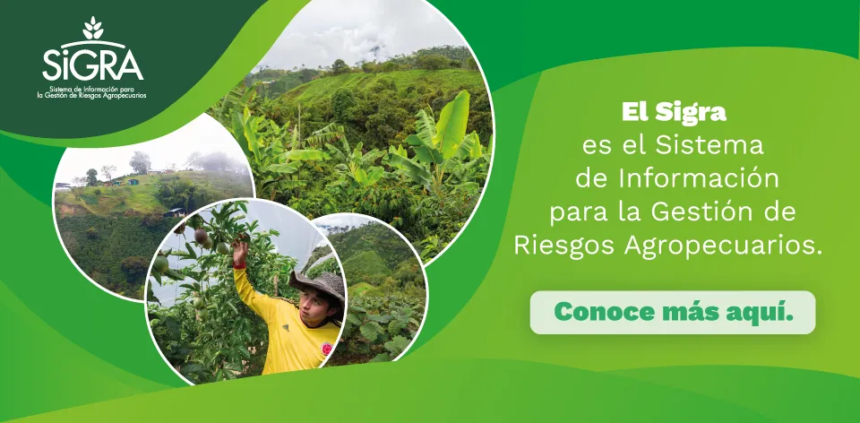 Sistema de Información para la Gestión de Riesgos Agropecuarios, Sigra