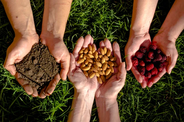 Socialización PES Agropecuario: Conoce los indicadores de Ciencia, Tecnología e Innovación del sector.