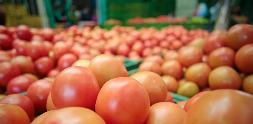 Tomate chonto, cebolla cabezona blanca, zanahoria y otras 40 hortalizas y verduras disminuyeron de precio en marzo de 2023