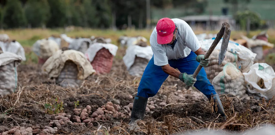 UPRA y Gobernación de Boyacá abordan metodología para identificar las áreas de protección para la producción de alimentos UPRA y Gobernación de Boyacá abordan metodología para identificar las áreas de protección para la producción de alimentos