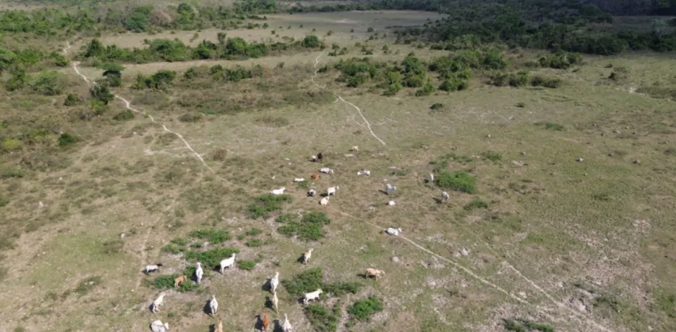 UPRA, TNC y Comité De la Sociedad Civil del Paisaje Ganadero realizarán conversatorio de Paisajes agropecuarios en Paz de Ariporo a la comunidad