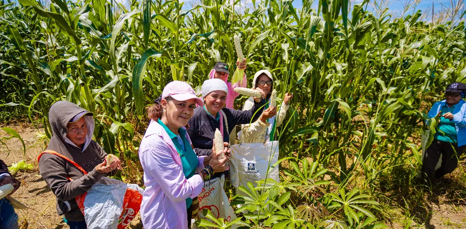 Uso eficiente del suelo y del agua a partir del ordenamiento de la producción agropecuaria Uso eficiente del suelo y del agua a partir del ordenamiento de la producción agropecuaria