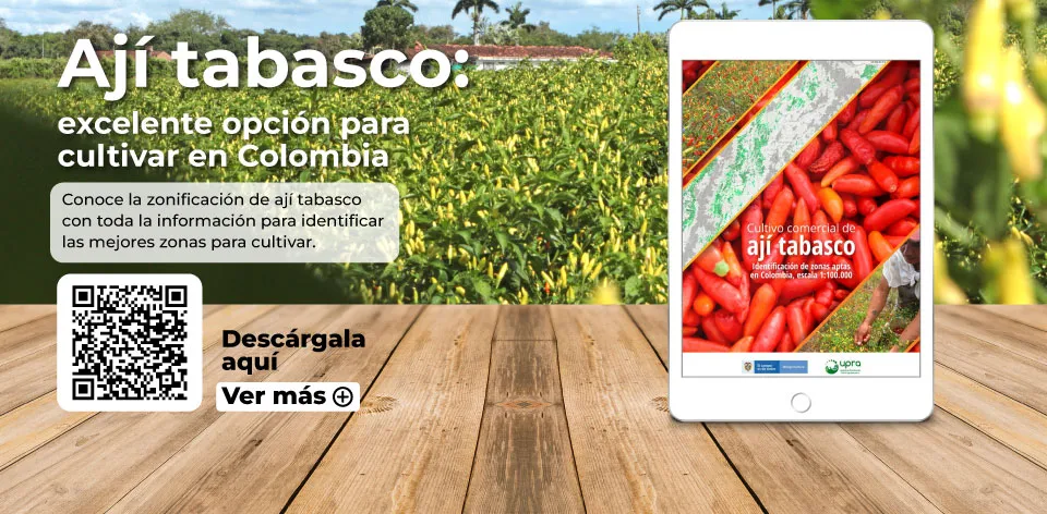 Webinar Hablemos de Tierras: «El futuro de la exportación agropecuaria: ají, piña y pimentón»
